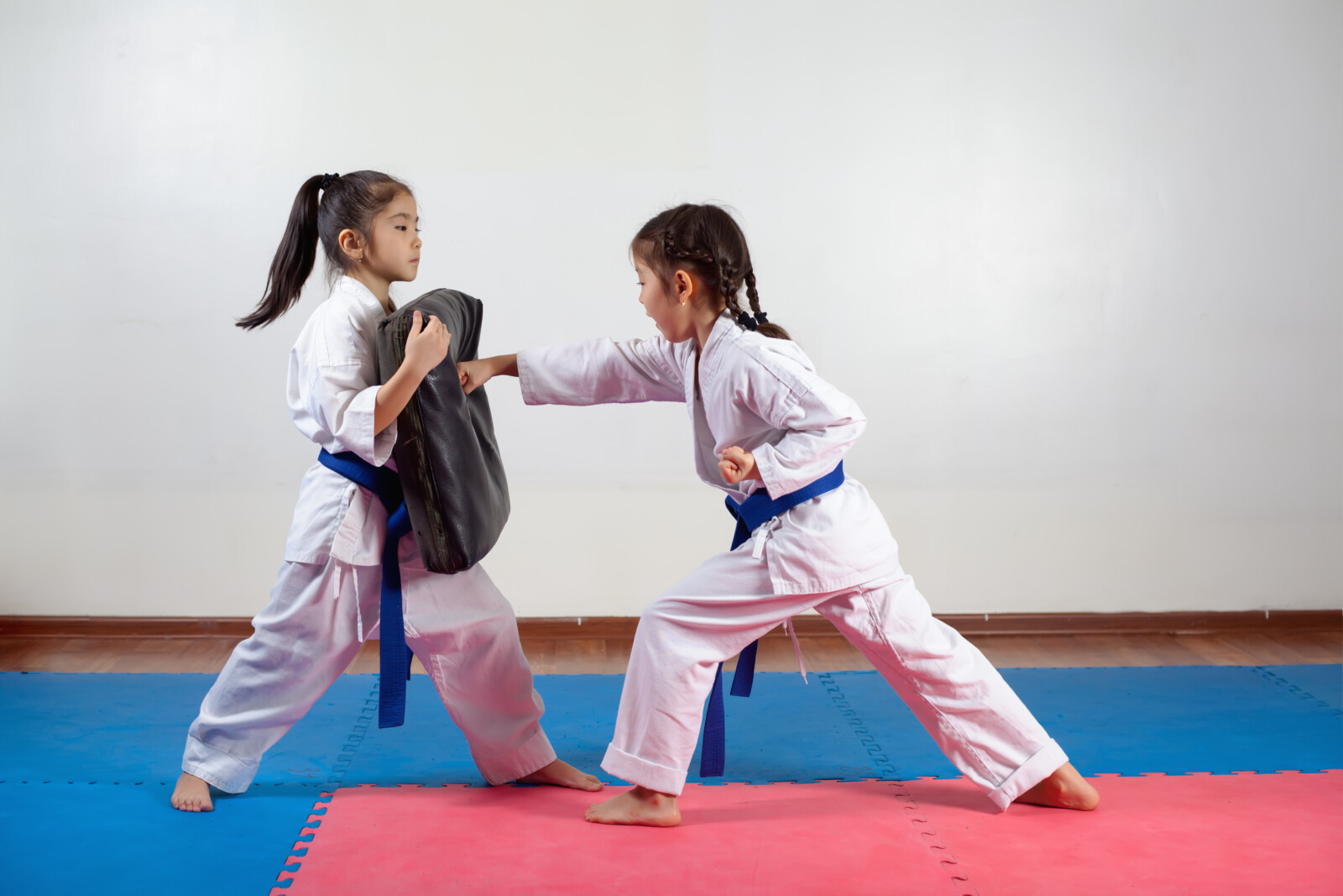 Two little girls demonstrate martial arts working together Two young girls practicing martial arts in a dojo. One girl holds a padded shield, while the other performs a focused punch. Both wear white uniforms with blue belts, standing on colorful mats in a training environment.